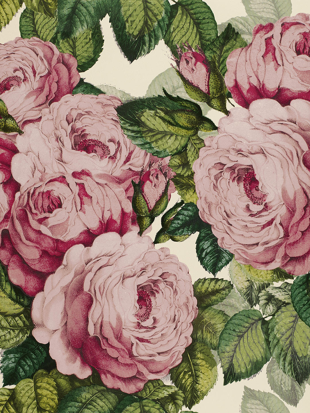 10 Best Vintage Rose Wallpapers - Cosy Home Blog