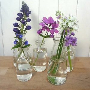 Milk bottle glass vases for spring flowers
