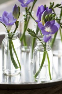 Glass flower vases