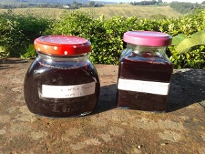 Cosy Home Blog's delicious easy sloe jam recipe