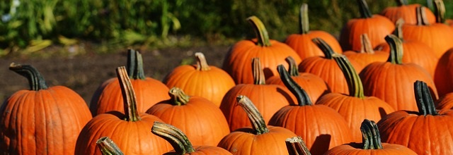 Dinner party ideas for Hallowe’en