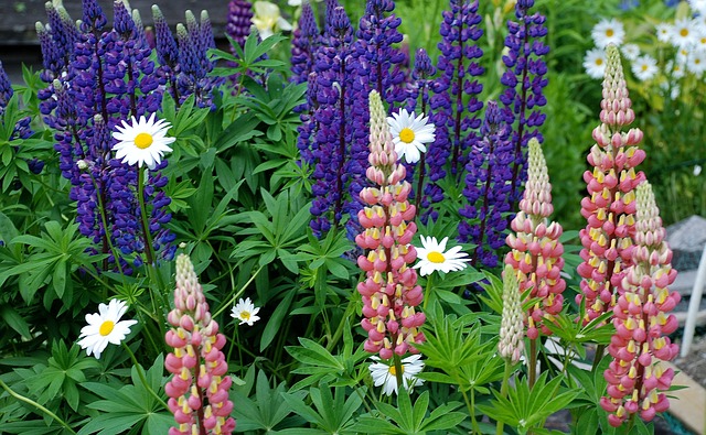 Cosy Home gardening: Getting the flower garden ready for spring