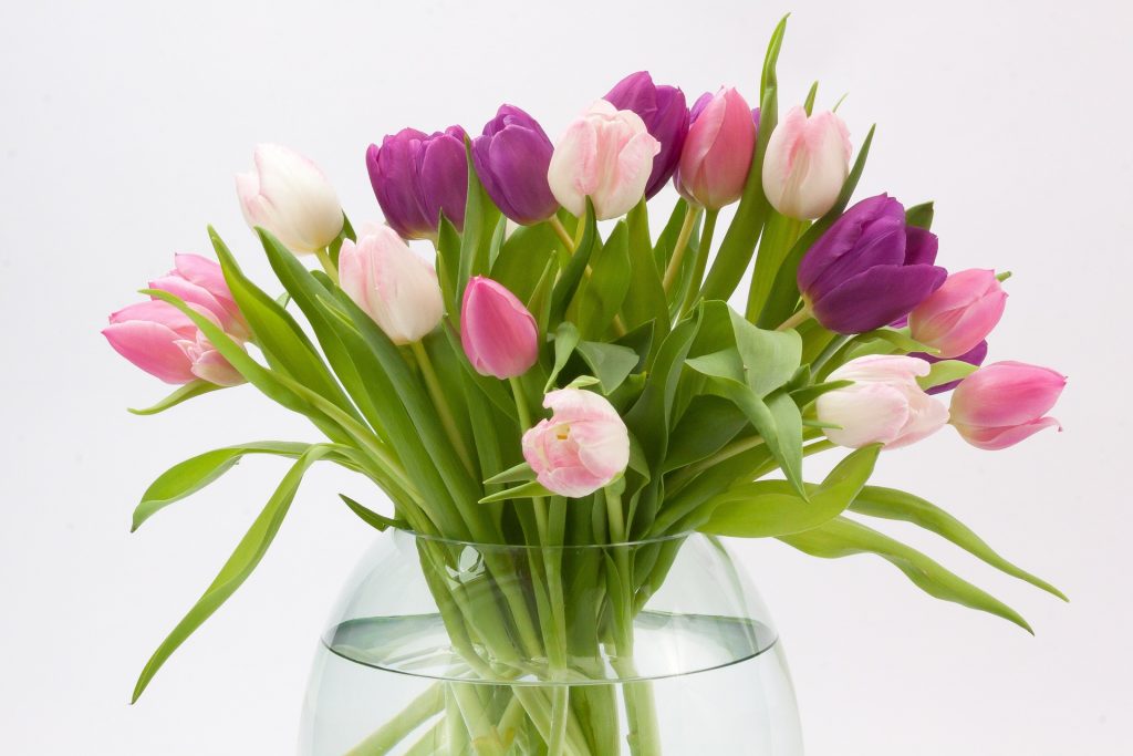 10 floral gift ideas for Mothering Sunday