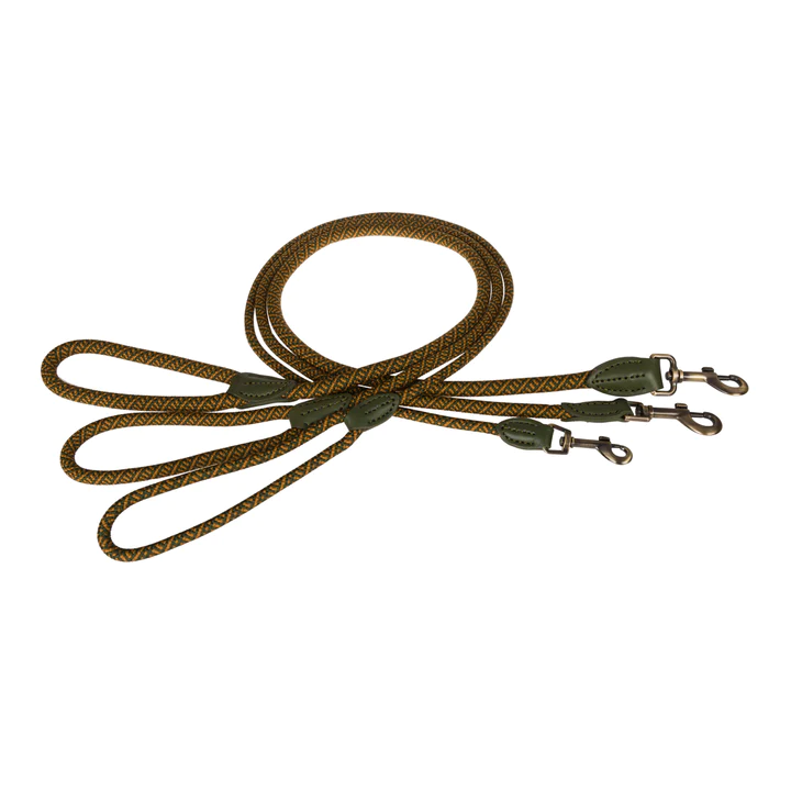 Rope lead suitable for looking after an elderly dog