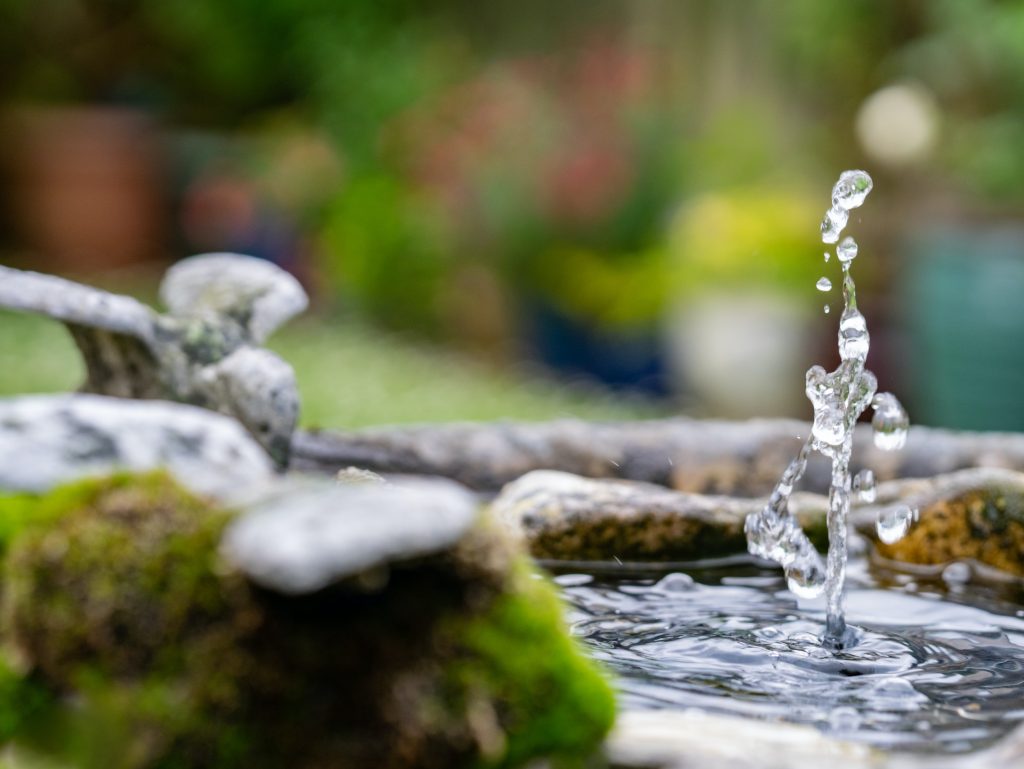 A water feature is a great addition to a garden