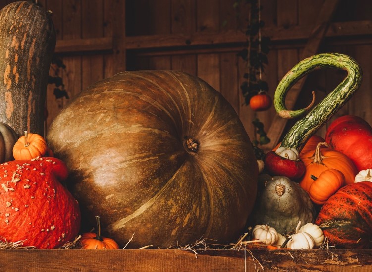 Top 10 Halloween home accessories for 2022