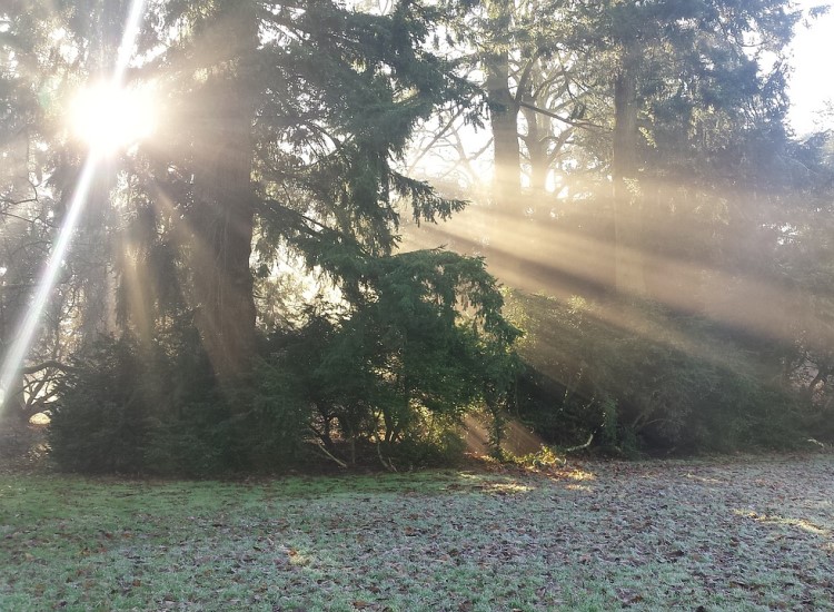 Top 10 winter gardens to visit this season