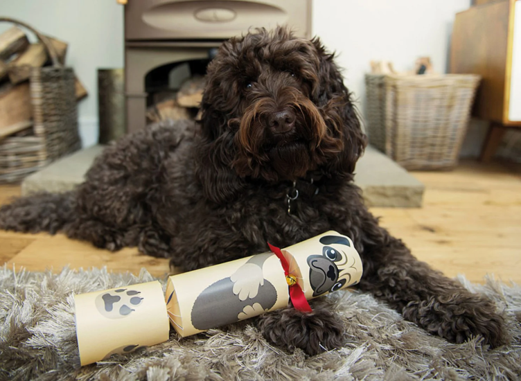 The Cosy Home Christmas luxury gift guide for pets