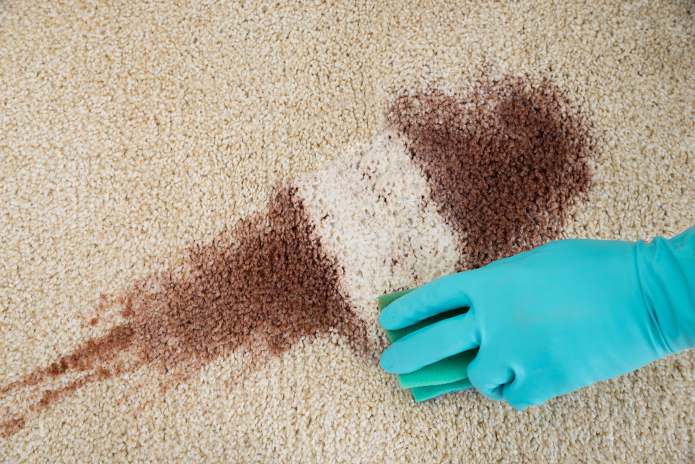 Clean stains from carpets
