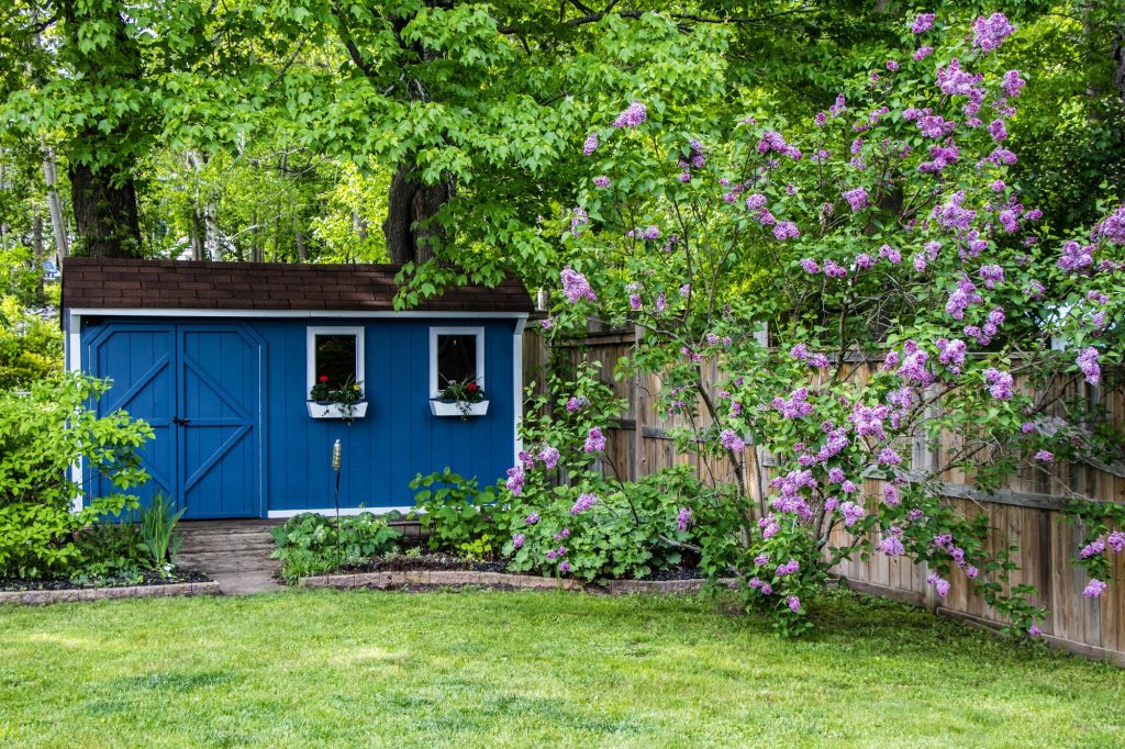 Blue painted shed in a garden